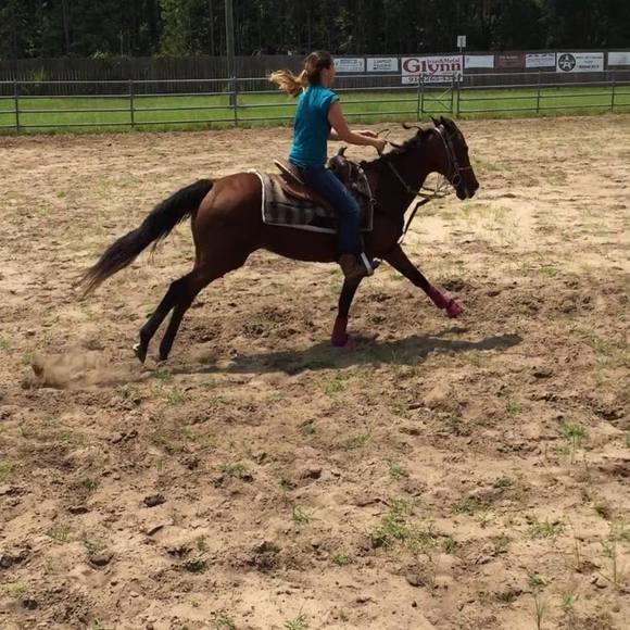 Meet your Posher, Lora - Picture 1 of 1